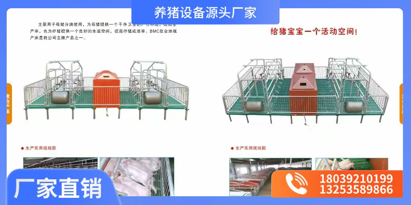 北京猪场定位栏猪场产床 - 方案
